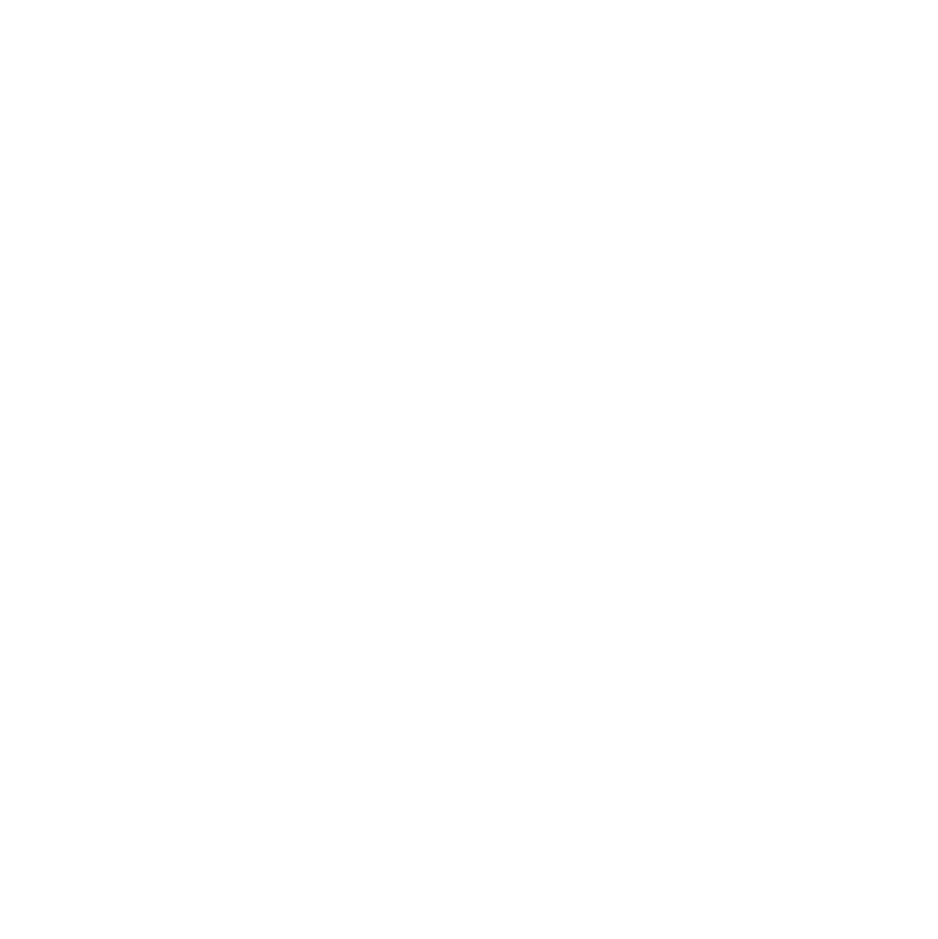 The Roaming Bean